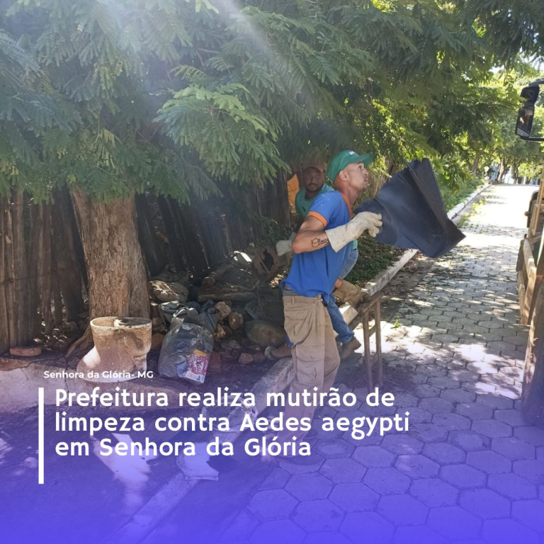 Mutirão de limpeza contra Aedes Aegypti 