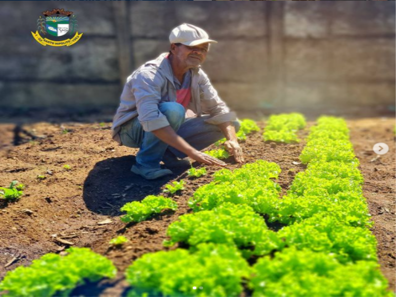 Projeto “Horta Escolar”.